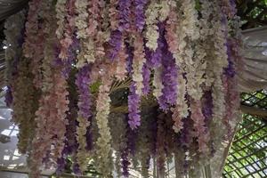 Asian outdoor lei decorations photo