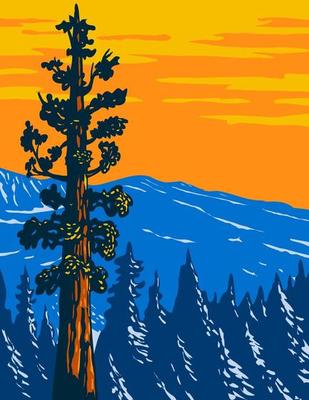 The Boole Tree Giant Sequoia in Converse Basin Grove of Giant Sequoia National Monument in Sierra Nevada Fresno County California Usa WPA Poster Art