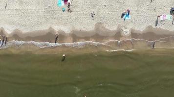 Wijk aan Zee shoreline with people enjoying the beach in North Holland, the Netherlands - Bird's eye view Aerial shot video