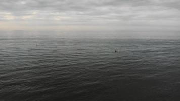Luftaufnahmen des Bootswassers der Nordsee vor der Küste der Stadt Zandoort, Niederlande. video
