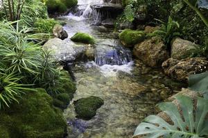 Arroyo con rocas y pequeña cascada. foto