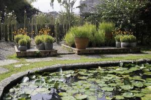 Beautiful garden with a pond photo