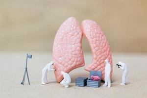 Miniature scientists observing and discussing the human lungs, virus and bacteria-infection concept photo