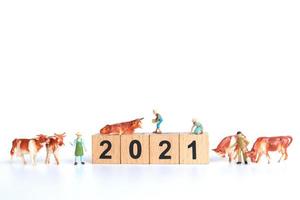 Tiny ox and wooden blocks with the number 2021 isolated on a white background. symbol of the year 2021 photo