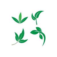 Green leaf logo set vector