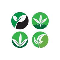 Green leaf logo set vector