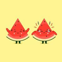 Cute Watermelon Characters Smiling and Sad vector