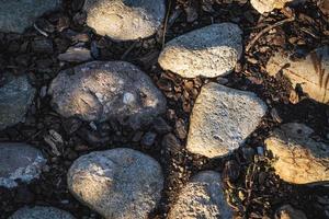 Cobblestone ground path with boulders and cork bark photo