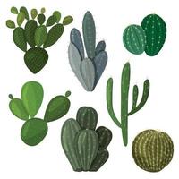 un conjunto de cactus. imagen vectorial en un estilo plano. una colorida colección de cactus de interior. vector