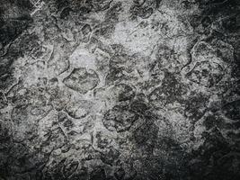 Wall texture background photo