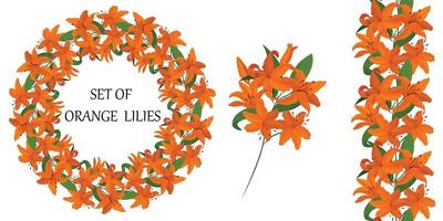 Round frame with beautiful orange lily flowers. Vector set of flower elements. Seamless brush. A colorful image.