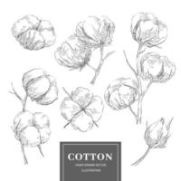 colección de ramas de bocetos de algodón vector