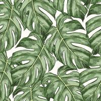 Sketch monstera seamless pattern vector