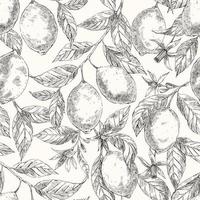 Lemons hand drawn vector seamless sketch pattern