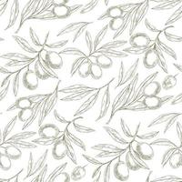 Olive Sketch pattern vector