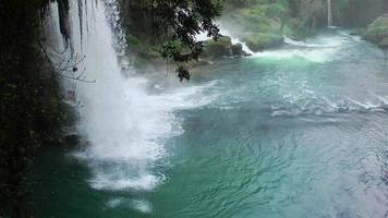 cascade dans une nature sauvage video