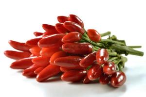Bunch of spicy red chillies photo