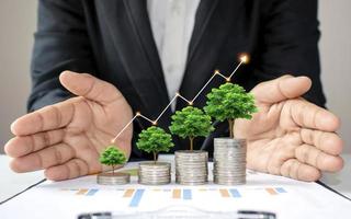 Green trees growing on coins increases, concept of business growth