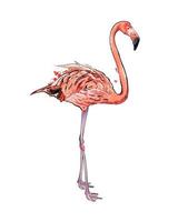 Pink flamingo from a splash of watercolor, colored drawing, realistic. Vector illustration of paints