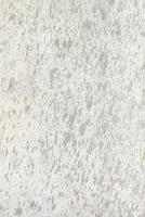 White grey concrete texture or background photo