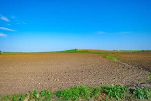 Field prepared to sow photo