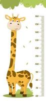 Kids height chart. Child height meter for kindergarten. vector