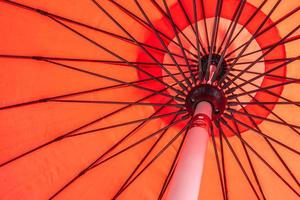 Close-up of an umbrella photo