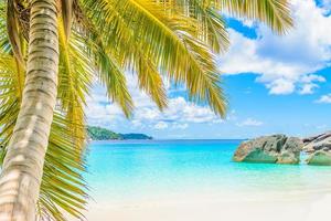 Beautiful tropical beach background photo