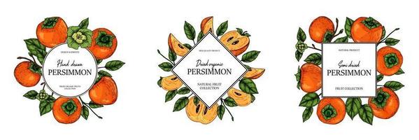 Colorful persimmon design. vector