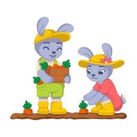 Rabbits are harvesting carrots in the garden. Bunny work in the kailyard. Farming, gardening. Vector children illustration isolated on white background.