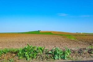 campo preparado para sembrar con cielo azul foto