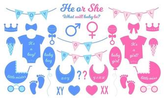 Gender reveal party set. Props for baby shower celebration. Boy or girl elements for greeting cards, invitations, banners vector