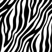 plug Faeröer viool Zebra Print Vector Art, Icons, and Graphics for Free Download