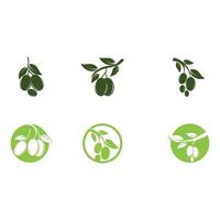 olive icon vector illustration