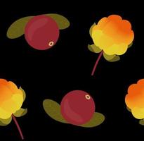 Cloudberry and cranberry background seamless pattern vector