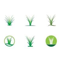 vector de hierba logo y símbolo