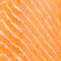 Raw salmon meat photo