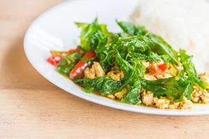 Spicy Fried basil leaf with chicken and rice photo