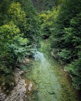 Stream in a forest photo