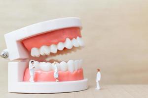 Dentistas y enfermeras en miniatura observando y discutiendo sobre dientes humanos con encías y modelo de esmalte sobre un fondo de madera