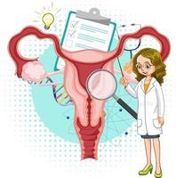 Doctor and human uterus and ovary on white background vector