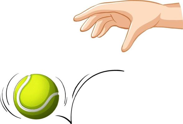 Hand dropping tennis ball for gravity experiment