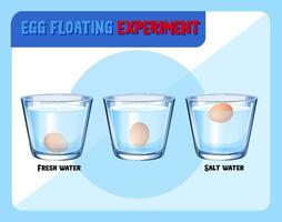 Science experiment with egg float test vector