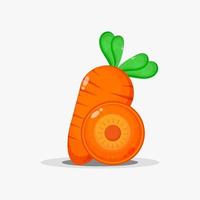 Carrots and carrot slices vector