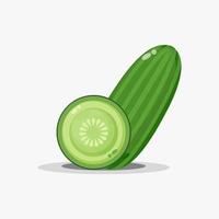 Cucumber and cucumber slices vector