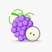 Grapes and grape slices vector