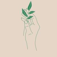 Thin line illustration of a hand holding a green sprout. Elegant lines of the hand.
