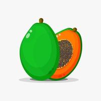 Papaya fruit and papaya slices vector