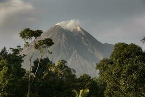 View of Merapi mountain above the trees