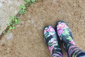 Pair of black and multicolored floral boots photo